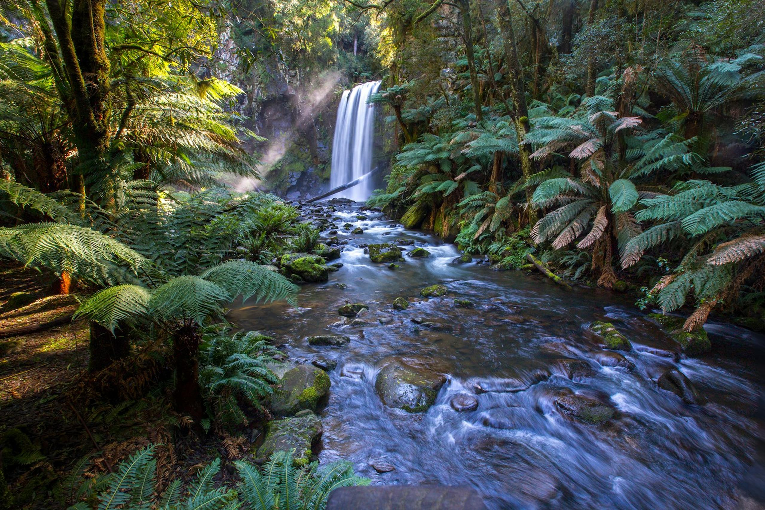 Environmental appreciation